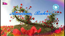 Юртимизга орзиқиб кутилган гўзал баҳор фасли кириб келди