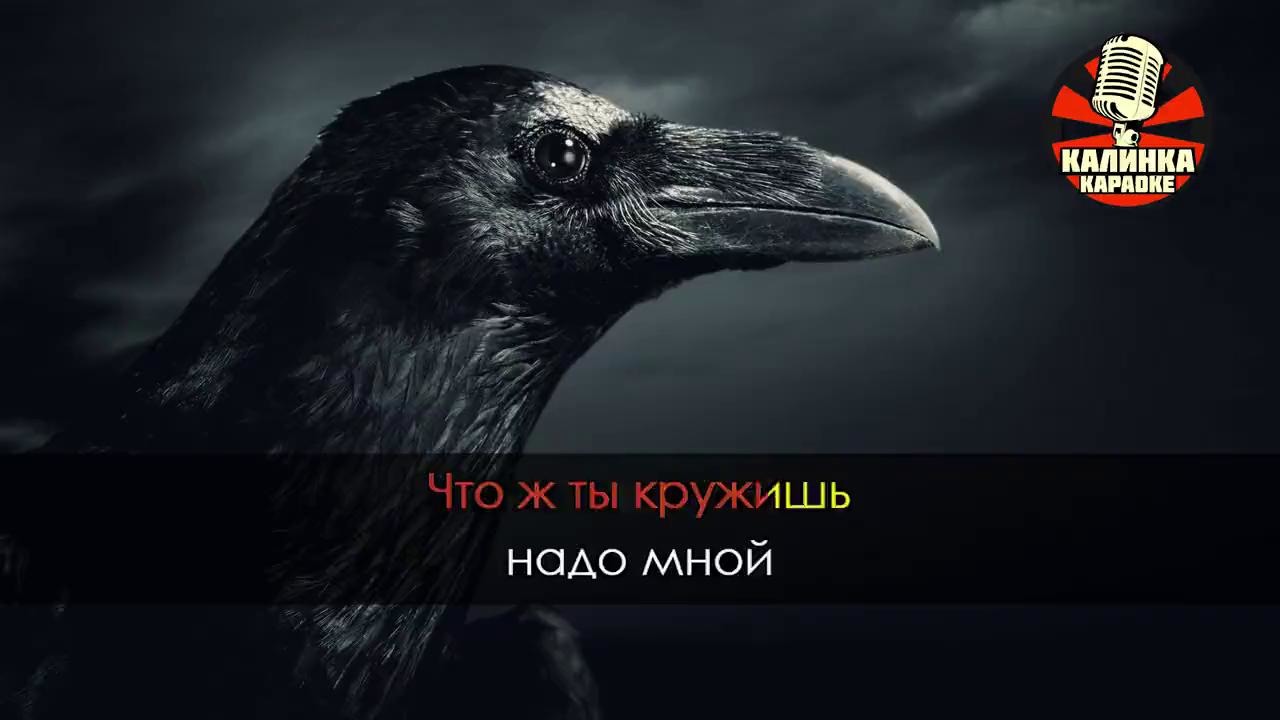 Караоке вороны. Черный ворон караоке. Чёрный ворон текст караоке. Расторгуев черный ворон караоке.