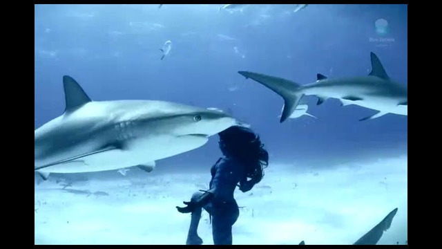 Танец девушки с тигровыми акулами
