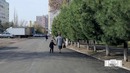 "Обод маҳалла" давлат дастури амалда (Яккасарой тумани)