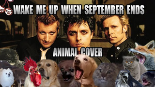 Green Day – Wake Me Up When September Ends (Animal Cover)