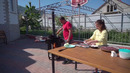 Жареная печень