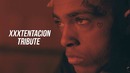 Nevi – why’d you leave (xxxtentacion tribute)