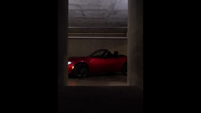 Шмидт-Три языка