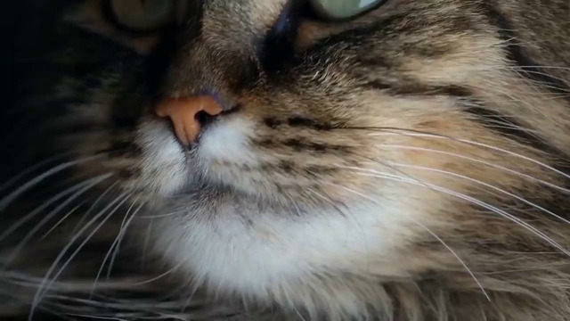 Самые Страшные Посадки Самолётов, Снятые На Камеру