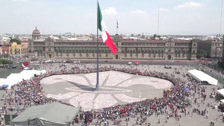 Гигантскую лилию из банок сложили мексиканские скауты в центре Мехико