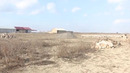 Жиззах вилояти