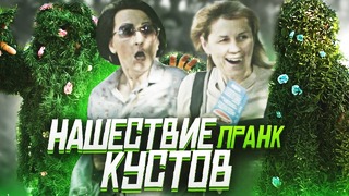Нашествие кустов feat Boris Pranks / реакция прохожих