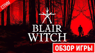Вечерний хоррор ● blair witch