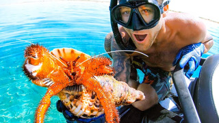 Top 10 Amazing Sea Creatures #TeamSeas