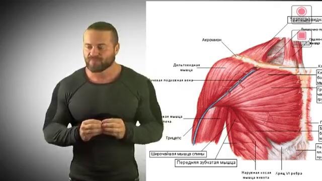Видео Блог Денис Борисов «Грудные мышцы»