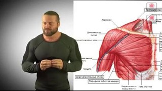 Видео Блог Денис Борисов «Грудные мышцы»