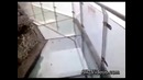 Стеклянный мост в Китае
