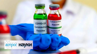 Сравнение вакцин от коронавируса | Вопрос науки с Алексеем Семихатовым