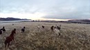 Неразумный замысел [бог vs эволюция]