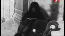 872 дня Ленинграда. Смертельная территория детства. 7 серия. Документальный фильм