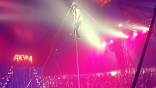 Цирк Акула Шапито