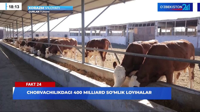Chorvachilikdagi 400 milliard so‘mlik loyihalar