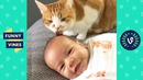 [30 MIN] TRY NOT TO LAUGH – Ultimate Pets & Animal Videos Compilation