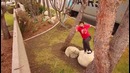 Parkour and Freerunning 2016 – Explore and Jump
