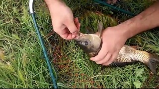 Рыбалка Ташкент