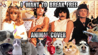 Queen – I Want To Break Free (Animal Cover)