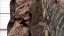Monster Hunter Ultimate 3 & 4 Monster sizes