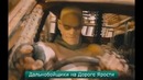 Лучшие Coub’ы недели! #12 – Дорога Ярости