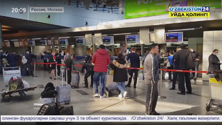 Меры по решению проблем наших соотечественников в московских аэропортах