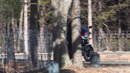 Honda VF400F (Integra) – Гоночная Концепция на Каждый День