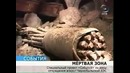 Чернобыль «мертвая» зона отчуждения спустя 26 лет