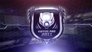 Virtus.PRO 2011