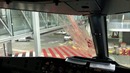 Столкновение самолёта с птицей