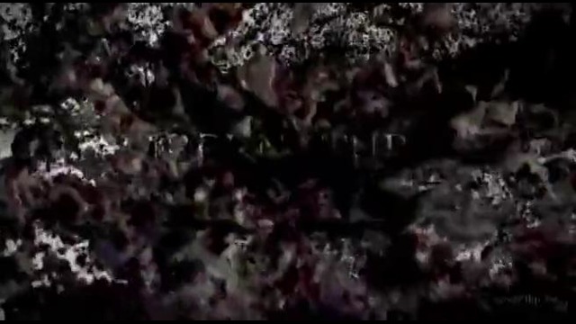 Supernatural all season