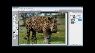 PhotoshopLes – Swap Animal Skin (eng)