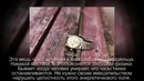 10 вещей, которые нельзя приносить домой с улицы ни при каких условиях