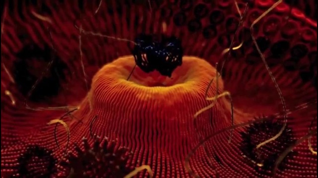 Волшебная лаборатория – Нанотехнология – Введение (Часть 1)