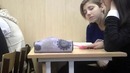 Типичный «ученик»