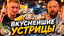 Лучшие ЩУПАЛЬЦА что я ел! Рыба и Гады. Славный Обзор