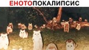Лютые приколы. ЕнотоПОКАЛИПСИС