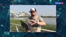Еженедельный итоговый выпуск Вести. net от 29.06.2019 года