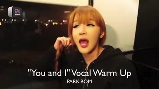 Best Female Voices In KPOP- Hyorin, Ailee, Park Bom