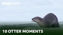 10 Incredible Otter Moments | BBC Earth