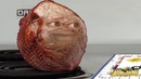 Annoying Orange – Rump Roast