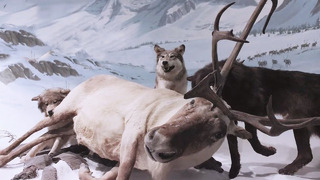 Тундровые Волки – Свирепые кочевники, от которых БЕСПОЛЕЗНО бежать