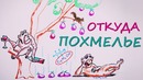 Почему от похмелья так плохо — Научпок
