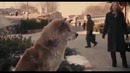 Хатико самый сильный момент