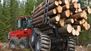 Погонажные изделия из сибирской лиственницы в Узбекистане | Arapol.uz