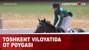 Toshkent viloyatida ot poygasi