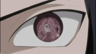Naruto Shippuuden – 114 Серия (480p)
